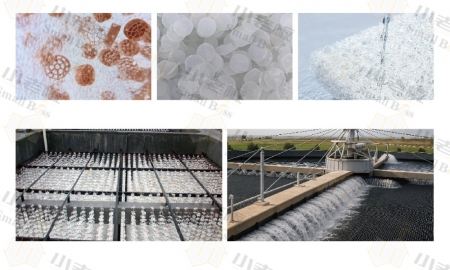 Nitrifying Biological Filtration: Key Insights into Media and Specific Surface Area